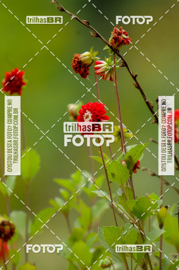 Buy your photos of the eventPedal Ekonova on Fotop