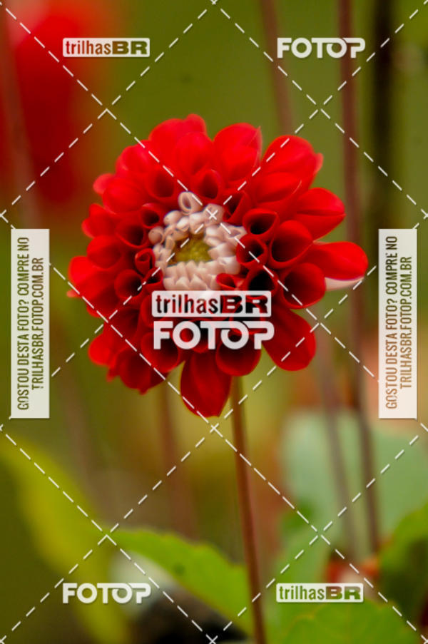 Buy your photos of the eventPedal Ekonova on Fotop