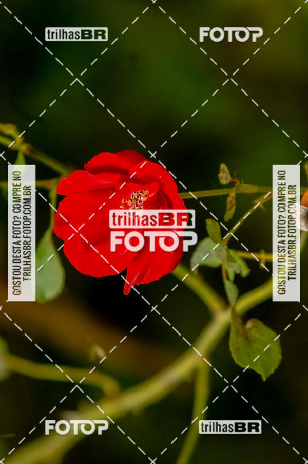 Buy your photos of the eventPedal Ekonova on Fotop