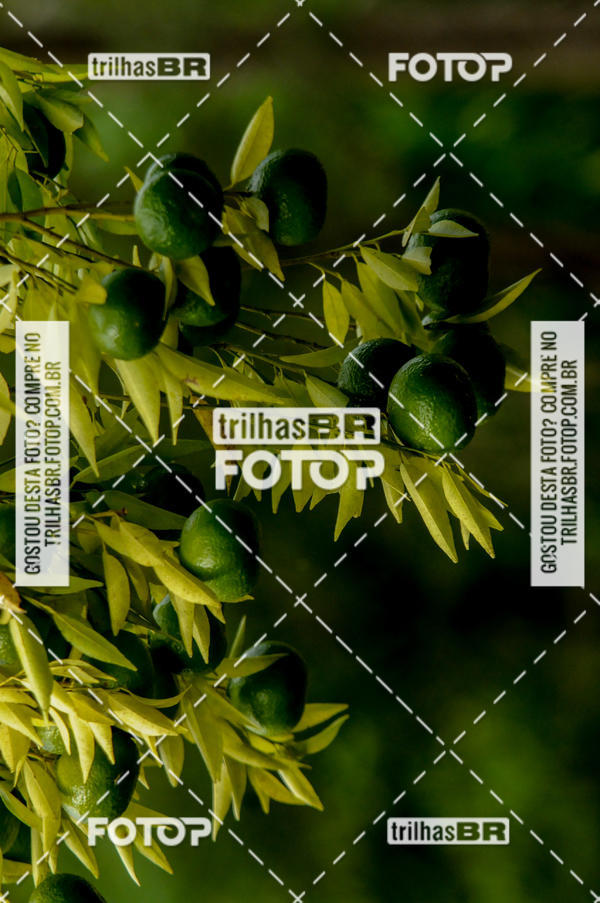 Buy your photos of the eventPedal Ekonova on Fotop