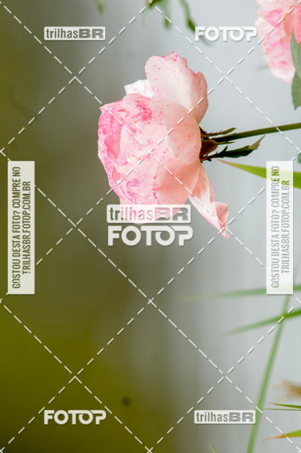 Buy your photos of the eventPedal Ekonova on Fotop