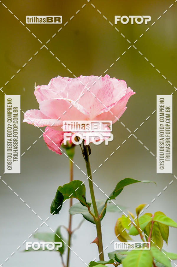 Buy your photos of the eventPedal Ekonova on Fotop