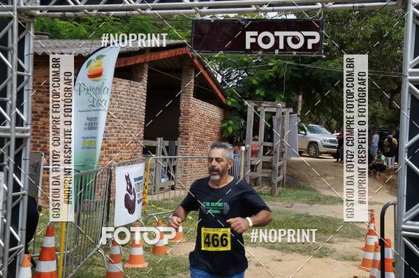 Buy your photos of the eventDESAFIO MATO OU MORRO 2019 - ITANA RUNNERS on Fotop