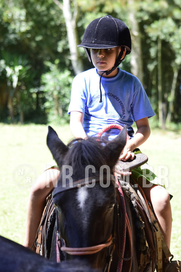 Buy your photos of the event NR1 - DAY CAMP 02/04/19 on Fotop