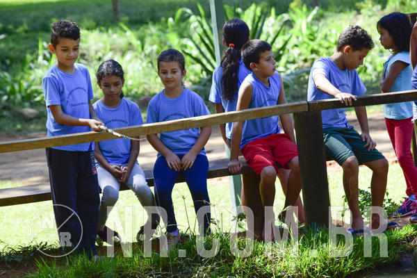 Buy your photos of the event NR1 - DAY CAMP 02/04/19 on Fotop