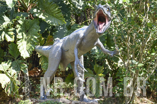 Buy your photos of the eventNR1 - Cl�ssico 03 a 05/04/19 on Fotop