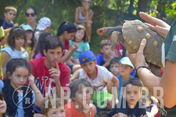 Buy your photos of the eventNR1 - Cl�ssico 03 a 05/04/19 on Fotop