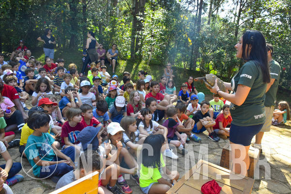 Buy your photos of the eventNR1 - Cl�ssico 03 a 05/04/19 on Fotop