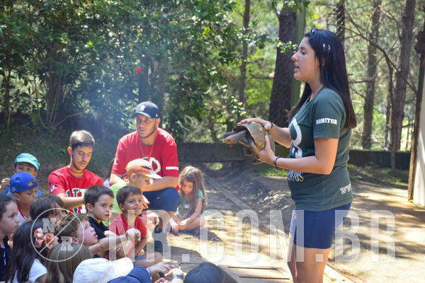 Buy your photos of the eventNR1 - Cl�ssico 03 a 05/04/19 on Fotop