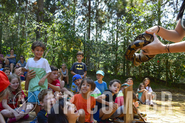 Buy your photos of the eventNR1 - Cl�ssico 03 a 05/04/19 on Fotop