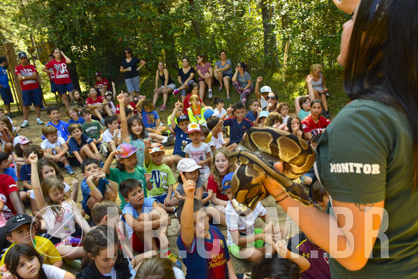 Buy your photos of the eventNR1 - Cl�ssico 03 a 05/04/19 on Fotop