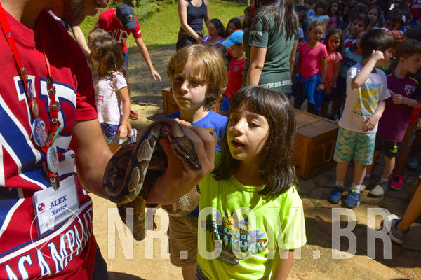 Buy your photos of the eventNR1 - Cl�ssico 03 a 05/04/19 on Fotop