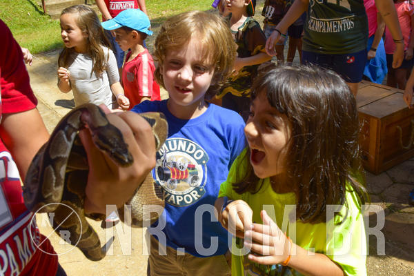 Buy your photos of the eventNR1 - Cl�ssico 03 a 05/04/19 on Fotop