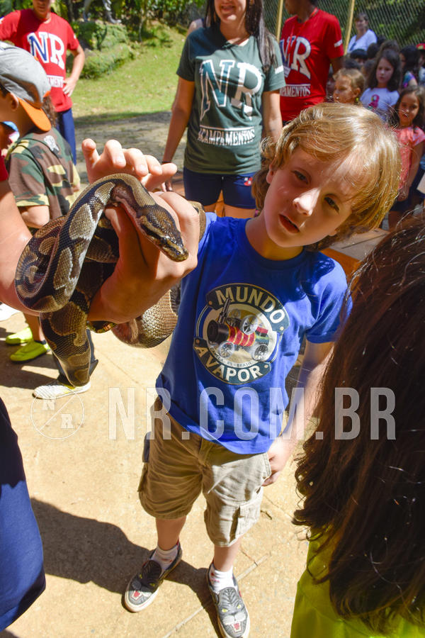 Buy your photos of the eventNR1 - Cl�ssico 03 a 05/04/19 on Fotop