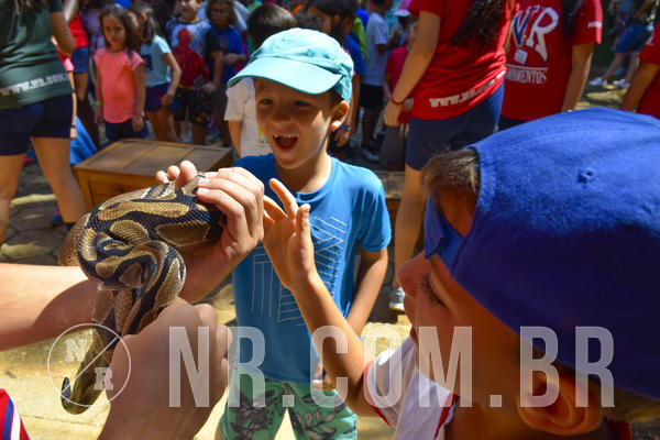 Buy your photos of the eventNR1 - Cl�ssico 03 a 05/04/19 on Fotop