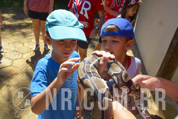 Buy your photos of the eventNR1 - Cl�ssico 03 a 05/04/19 on Fotop