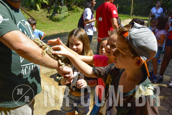 Buy your photos of the eventNR1 - Cl�ssico 03 a 05/04/19 on Fotop