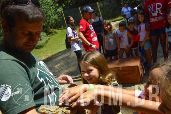 Buy your photos of the eventNR1 - Cl�ssico 03 a 05/04/19 on Fotop