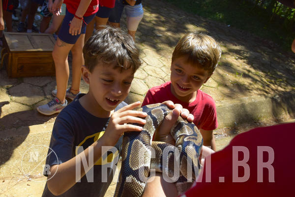 Buy your photos of the eventNR1 - Cl�ssico 03 a 05/04/19 on Fotop