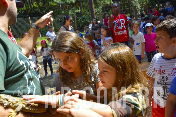 Buy your photos of the eventNR1 - Cl�ssico 03 a 05/04/19 on Fotop