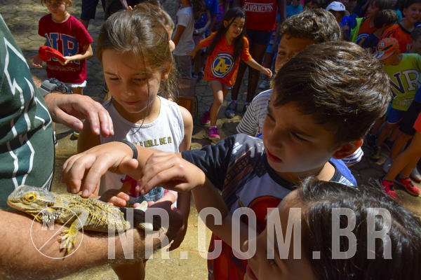 Buy your photos of the eventNR1 - Cl�ssico 03 a 05/04/19 on Fotop