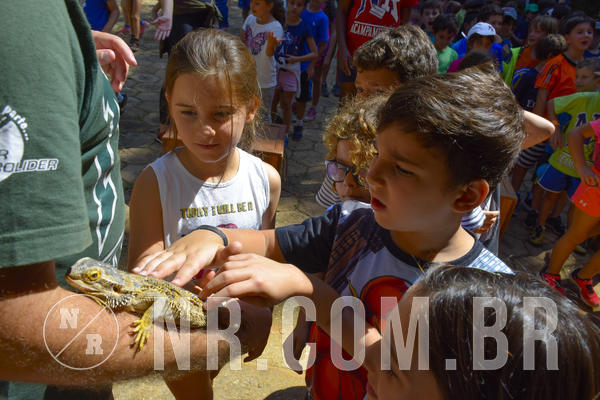 Buy your photos of the eventNR1 - Cl�ssico 03 a 05/04/19 on Fotop