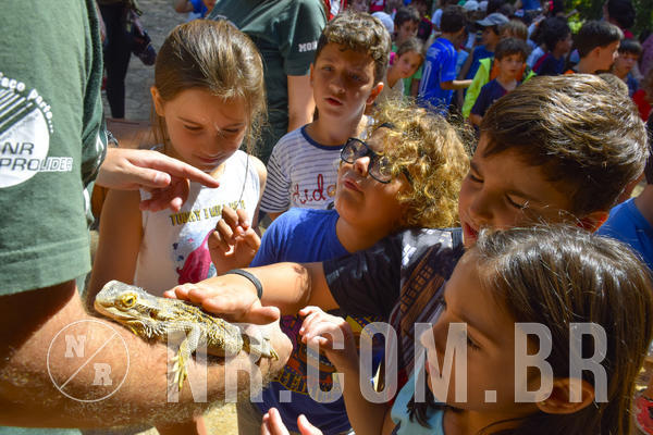 Buy your photos of the eventNR1 - Cl�ssico 03 a 05/04/19 on Fotop