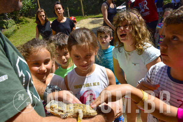 Buy your photos of the eventNR1 - Cl�ssico 03 a 05/04/19 on Fotop