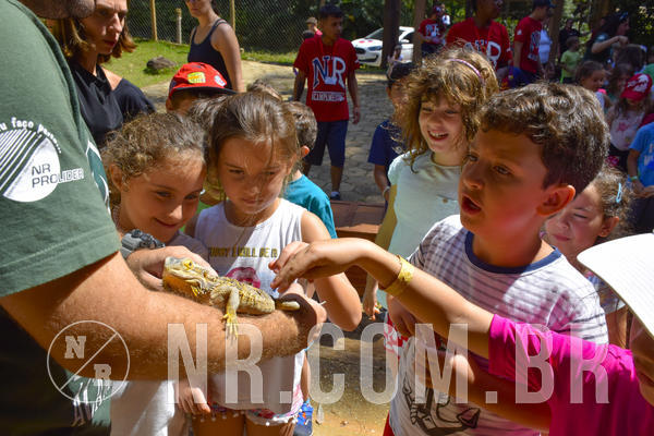 Buy your photos of the eventNR1 - Cl�ssico 03 a 05/04/19 on Fotop