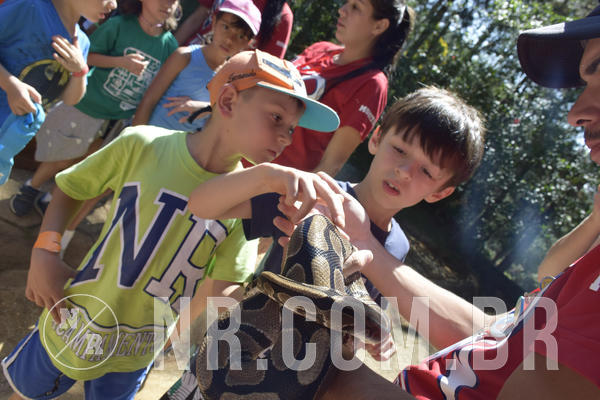 Buy your photos of the eventNR1 - Cl�ssico 03 a 05/04/19 on Fotop