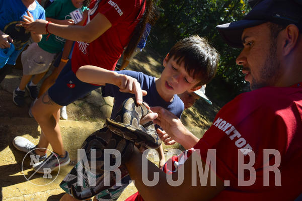 Buy your photos of the eventNR1 - Cl�ssico 03 a 05/04/19 on Fotop