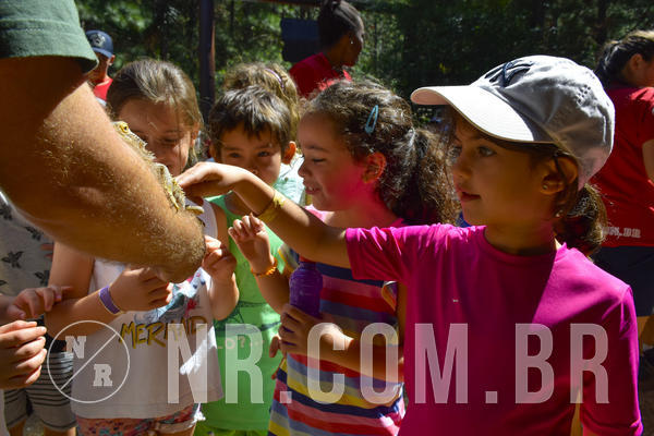 Buy your photos of the eventNR1 - Cl�ssico 03 a 05/04/19 on Fotop