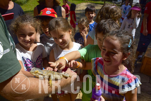 Buy your photos of the eventNR1 - Cl�ssico 03 a 05/04/19 on Fotop