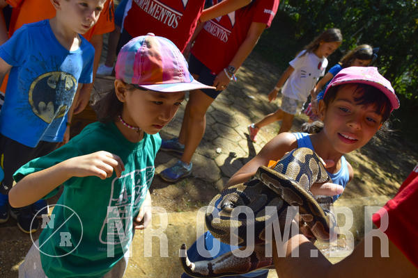 Buy your photos of the eventNR1 - Cl�ssico 03 a 05/04/19 on Fotop