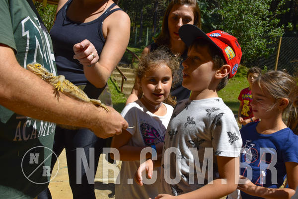 Buy your photos of the eventNR1 - Cl�ssico 03 a 05/04/19 on Fotop