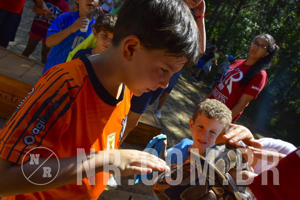 Buy your photos of the eventNR1 - Cl�ssico 03 a 05/04/19 on Fotop