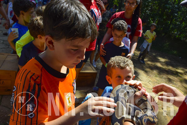 Buy your photos of the eventNR1 - Cl�ssico 03 a 05/04/19 on Fotop