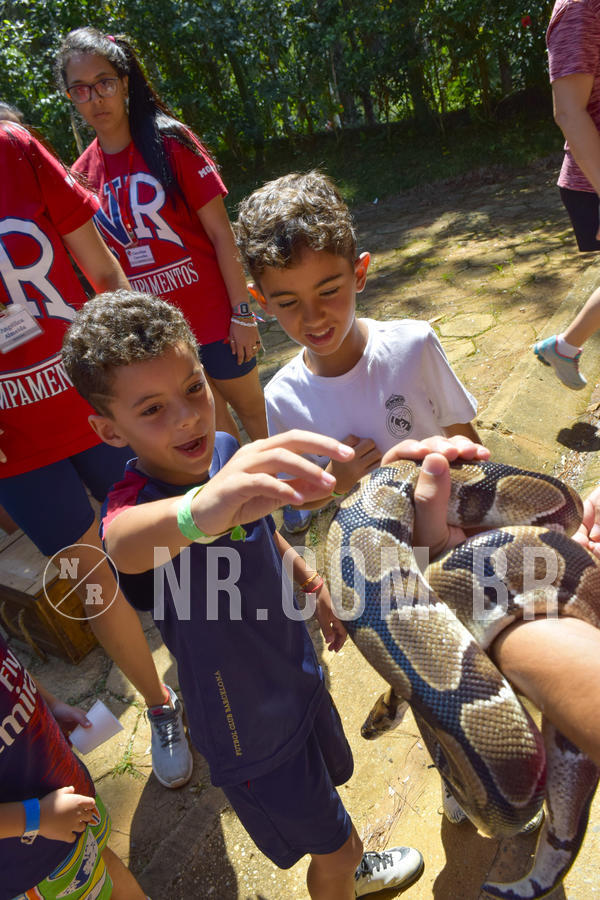 Buy your photos of the eventNR1 - Cl�ssico 03 a 05/04/19 on Fotop