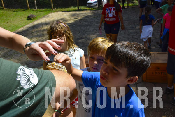 Buy your photos of the eventNR1 - Cl�ssico 03 a 05/04/19 on Fotop