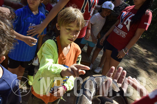 Buy your photos of the eventNR1 - Cl�ssico 03 a 05/04/19 on Fotop