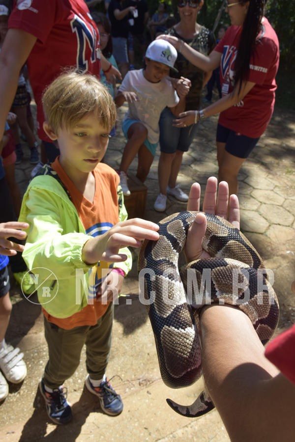 Buy your photos of the eventNR1 - Cl�ssico 03 a 05/04/19 on Fotop