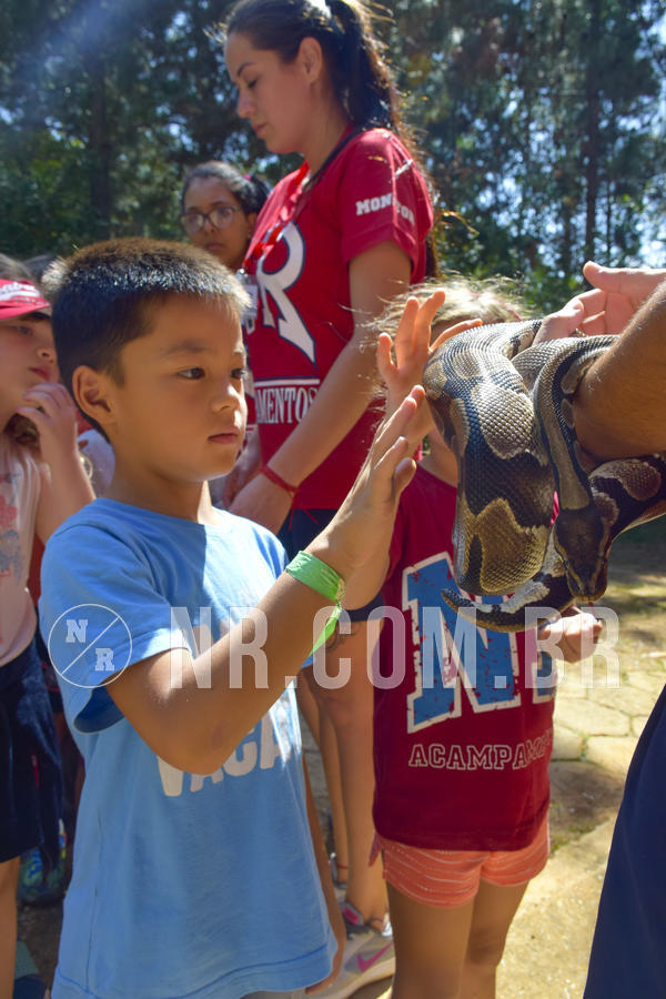 Buy your photos of the eventNR1 - Cl�ssico 03 a 05/04/19 on Fotop