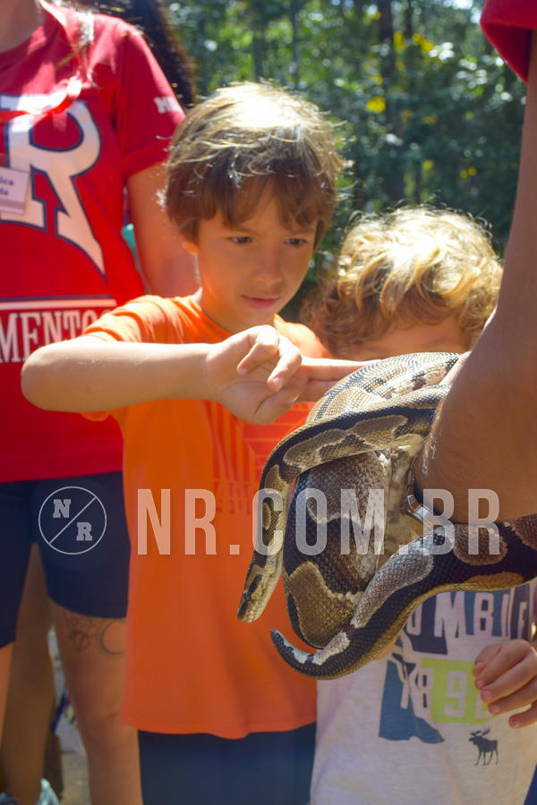 Buy your photos of the eventNR1 - Cl�ssico 03 a 05/04/19 on Fotop