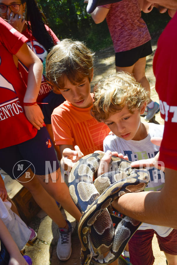 Buy your photos of the eventNR1 - Cl�ssico 03 a 05/04/19 on Fotop