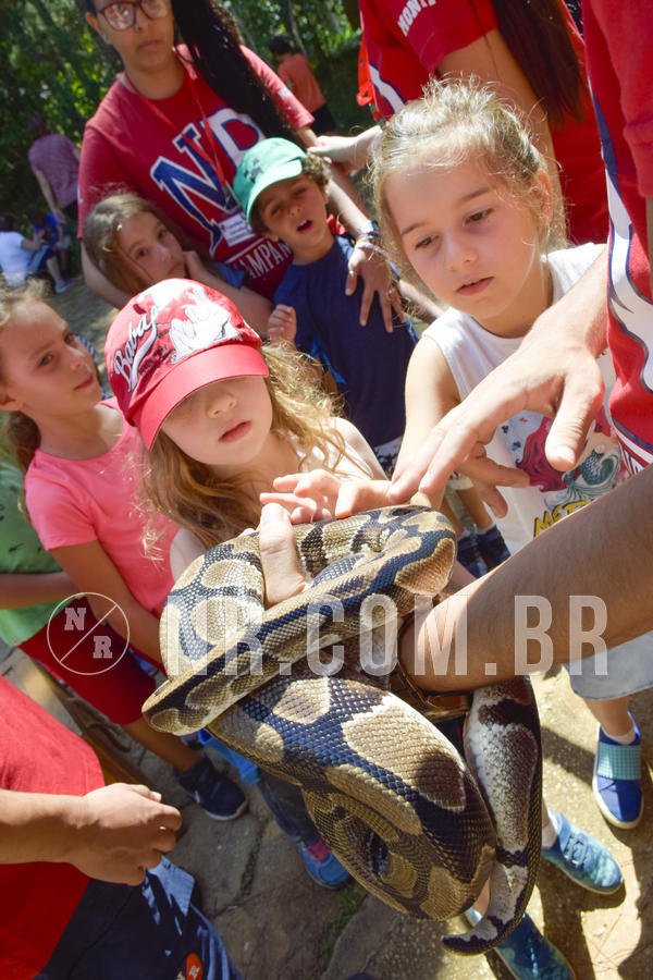 Buy your photos of the eventNR1 - Cl�ssico 03 a 05/04/19 on Fotop