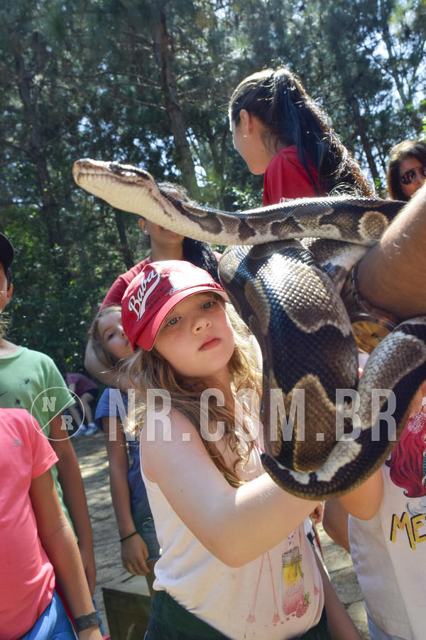 Buy your photos of the eventNR1 - Cl�ssico 03 a 05/04/19 on Fotop