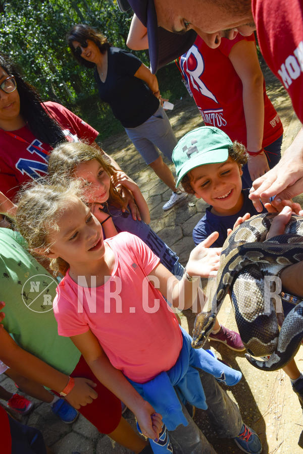 Buy your photos of the eventNR1 - Cl�ssico 03 a 05/04/19 on Fotop