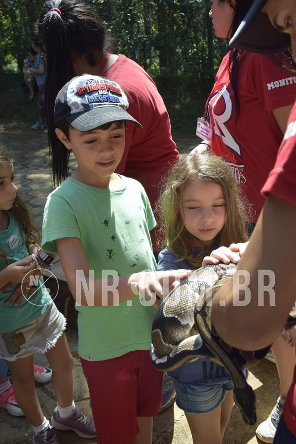 Buy your photos of the eventNR1 - Cl�ssico 03 a 05/04/19 on Fotop