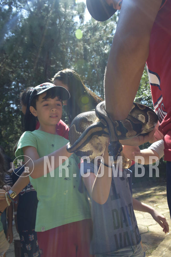 Buy your photos of the eventNR1 - Cl�ssico 03 a 05/04/19 on Fotop