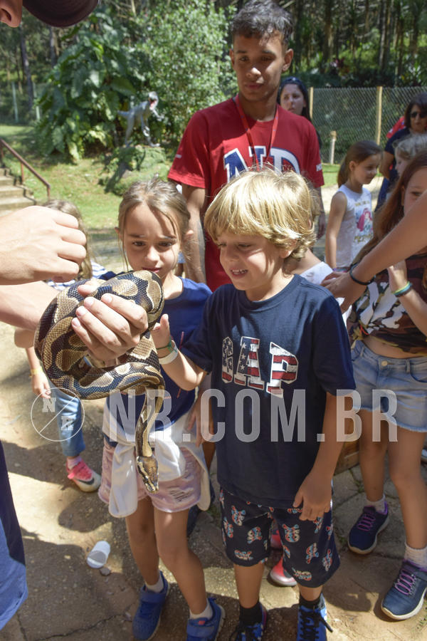 Buy your photos of the eventNR1 - Cl�ssico 03 a 05/04/19 on Fotop